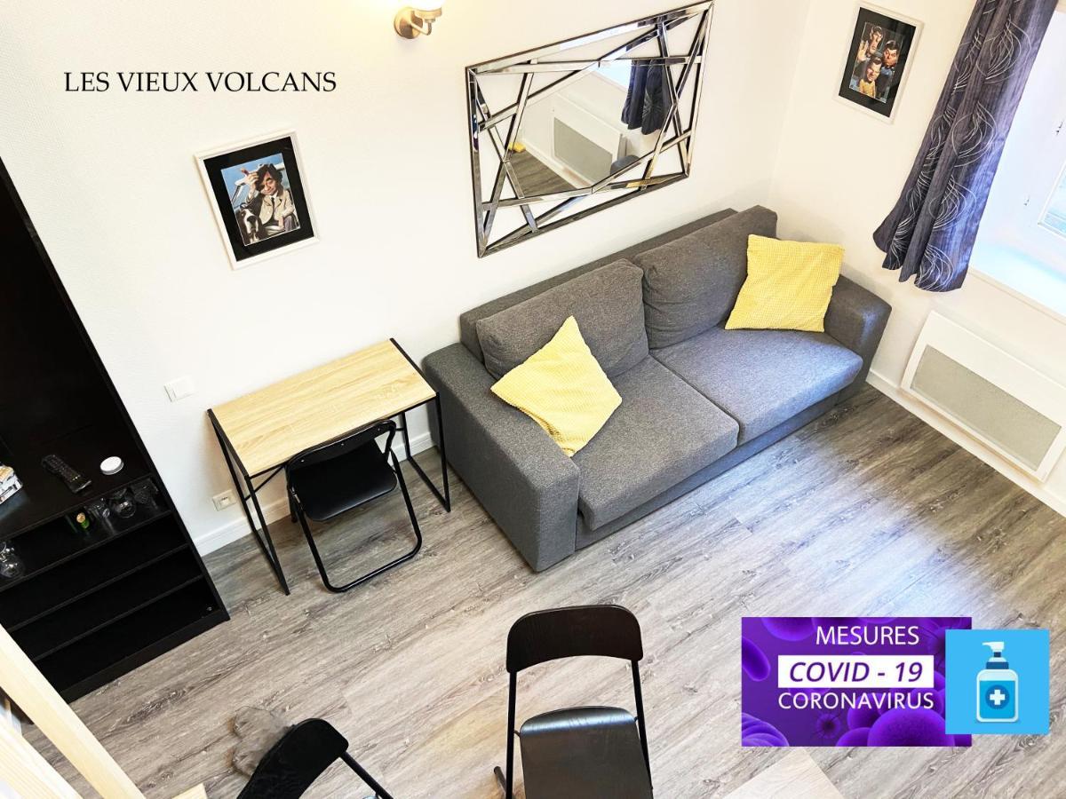 Vivez Sur Un Volcan, Vivez Clermont Ferrand Apartment Exterior foto